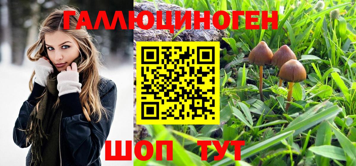 Галлюциногенные грибы прущие грибы Ярцево