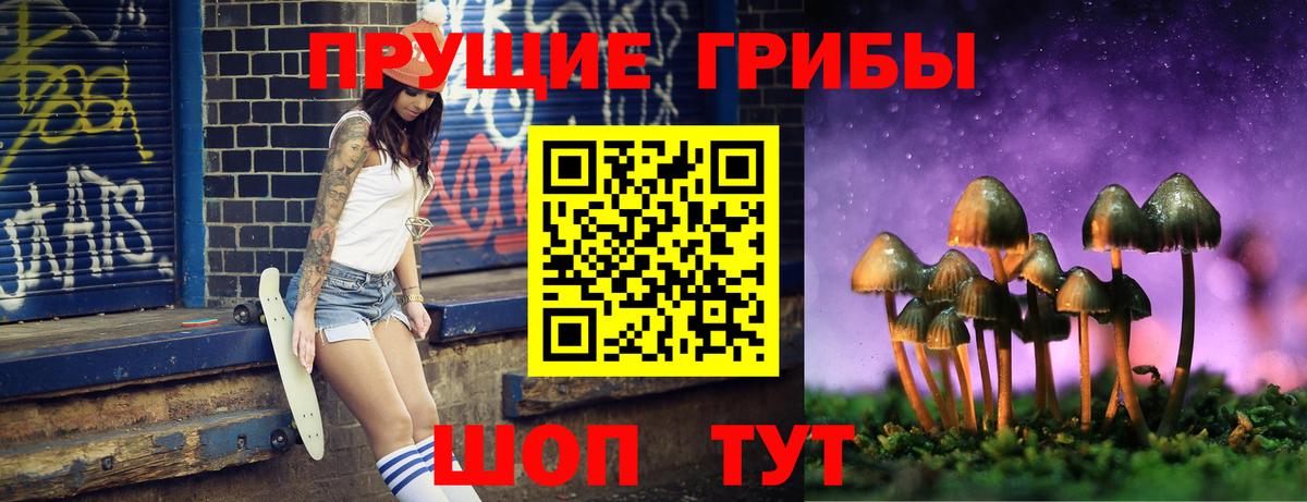 Ярцево  Псилоцибиновые грибы GOLDEN TEACHER  Вход с VPN 